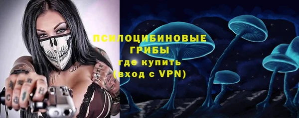 гидра Алексеевка