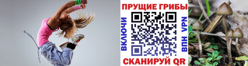 Псилоцибиновые грибы GOLDEN TEACHER  купить   Щёлково 
